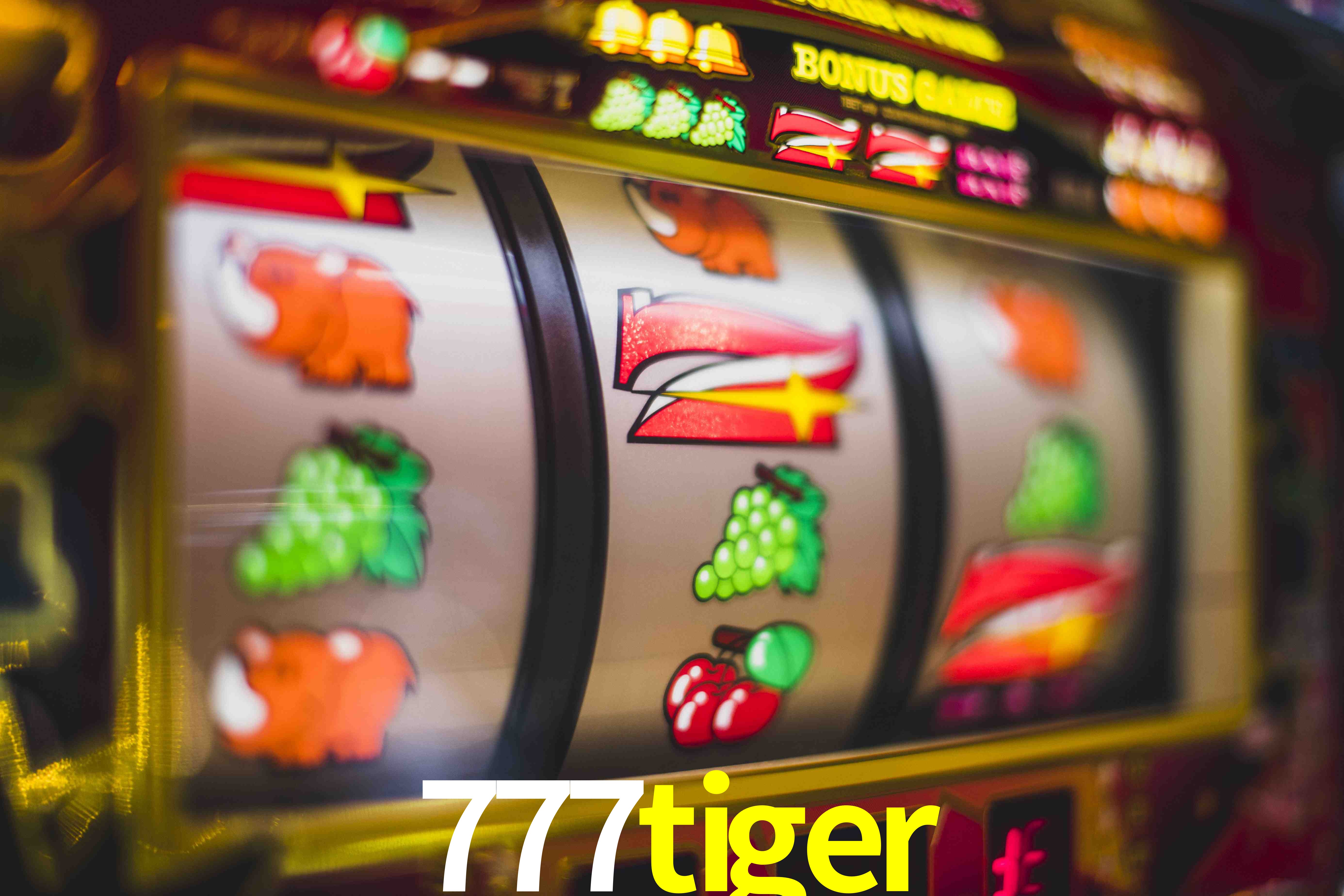 Crash Games Statistics 777tiger